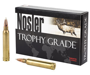 Nosler .300 Win Mag 180 Grain AccuBond - 20 Rounds 054041600590