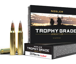 Nosler Trophy Grade .223 Remington 70 Grain AccuBond - 20 Rounds 054041610360