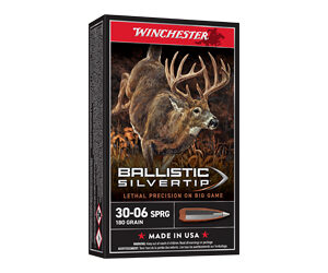 WIN BLSTC Tip 3006SP - 180 Grain Precision Bullets (20 Pack) 020892213968