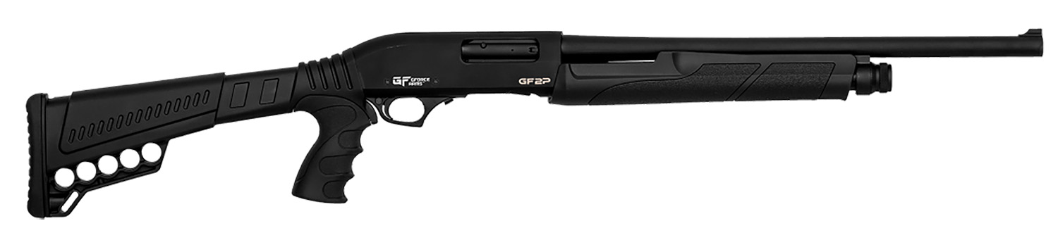 GFA GF2P HIGHCAP 12M/20 7R TG