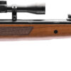Hatsan USA HC6525 Mod 65 Air Rifle 25 Cal Wood