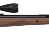 Benjamin BT725WNP Trail XL  Nitrogen Piston 25 Pellet Black Hardwood Fixed Thumbhole Stock 3-9x40mm AO