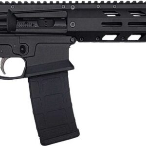 Wraithworks WARP-15 Polymer AR15 Rifle - Black | .223 Wylde | 16" Stainless Barrel