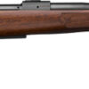 CZ 600 PLUS AMERICAN 243 WIN - 20" BLACK WALNUT STOCK