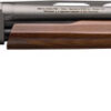 WINCHESTER SXP HYBRID FIELD - 20GA 3" 26"VR WALNUT GRAY
