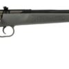 KEYSTONE SPORTING ARMS CRICKETT 22LR BL/GRY