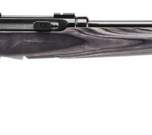 Savage Arms 47006 A17 Target Sporter Full Size 17 HMR 10+1 22" High Luster Heavy Target Barrel, High Luster Drilled & Tapped Carbon Steel Receiver, Satin Gray Fixed Laminate Stock, Right Hand