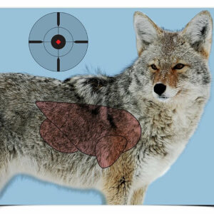 Birchwood Casey 35405 Pregame  Coyote Paper Hanging Rifle 16.50" x 24" Impact Enhancement Yes 3 Per Pkg