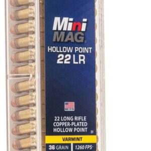 CCI .22 LR Mini Mag 36gr HP – 100 Rounds - FAST SHIPPING-NO CREDIT CARD FEES