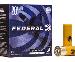 FED GAME LOAD 20GA 2.75 #6 25/250 - FAST SHIPPING-NO CREDIT CARD FEES