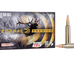 FED PRM 300WIN 180GR BRNS TSX 20/200 - FAST SHIPPING-NO CREDIT CARD FEES