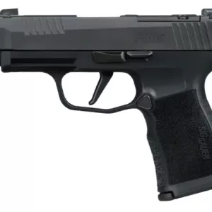 SIG SAUER P365XL COMP M.S. 380ACP PISTOL 3.1" X SERIES, O.R. 2-12RD MAG