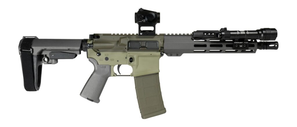 Shark Coast Tactical SCC06872BUGBR300P Bug Bear Bundle 300 Blackout 30+1 10" Threaded Barrel, Aluminum Receiver w/Picatinny Rail, M-LOK Handguard, Polymer SB Tactical SBA3 Brace, Streamlight ProTac Ra