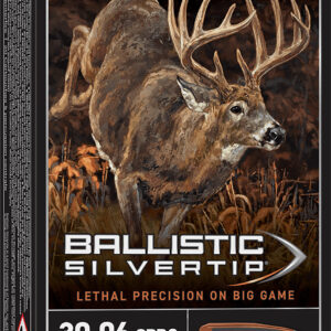 Winchester Ammo SBST3006B Ballistic Silvertip 30-06Springfield 180gr Rapid Controlled Expansion Polymer Tip 20 Per Box/10 Case - FAST SHIPPING-NO CREDIT CARD FEES