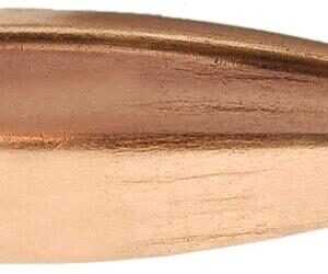 Sierra BlitzKing Rifle Bullets .20 cal .204" 32 gr BLKG 500/ct - FAST SHIPPING-NO CREDIT CARD FEES