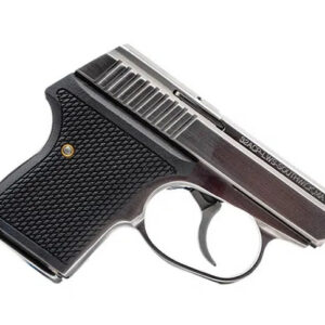 L.W. Seecamp LWS25W 7+1 2".25 ACP Polished Stainless Steel