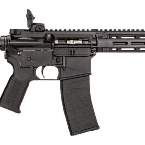 Tippmann Arms A101151 M4-22 Pro SBR 22 LR 25+1 11" Black Parkerized Threaded Barrel, Matte Black Aluminum Receiver w/Picatinny Rail, M-LOK Handguard, Black Adjustable Polymer Stock, Black Gen2 Grip