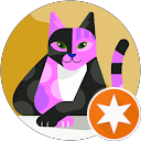 Sassy Cat3000